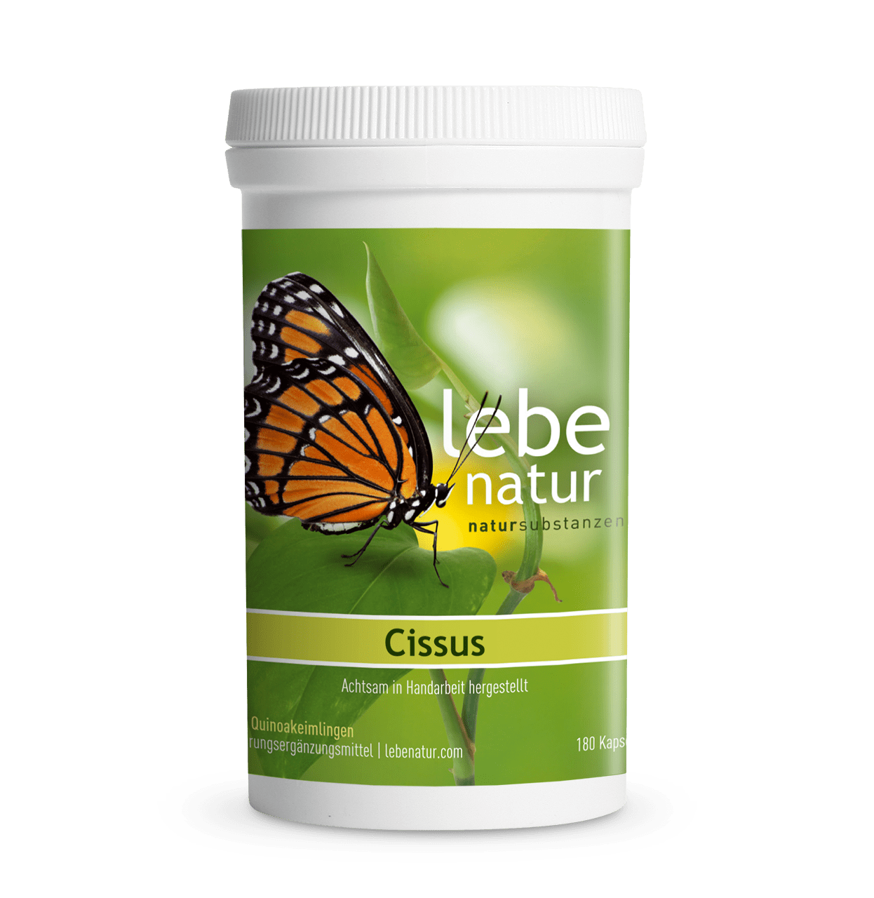 190827_lebe_natur_bild_shop_dose_3_cissus_1280x1280_px-Kopie