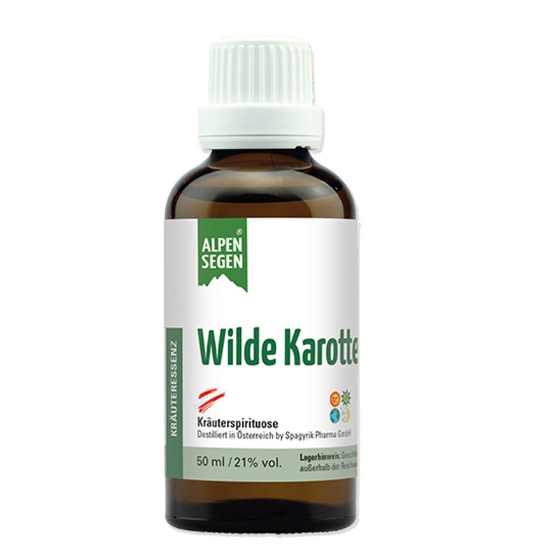 Wilde Karotte